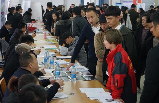 毕业生与用人单位沟通