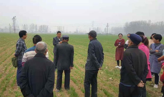 安博·体育_安博(中国)小麦育种实践基地负责人王世杰对村民进行现场指导
